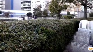 中楚红成人视频- 高清在线观看